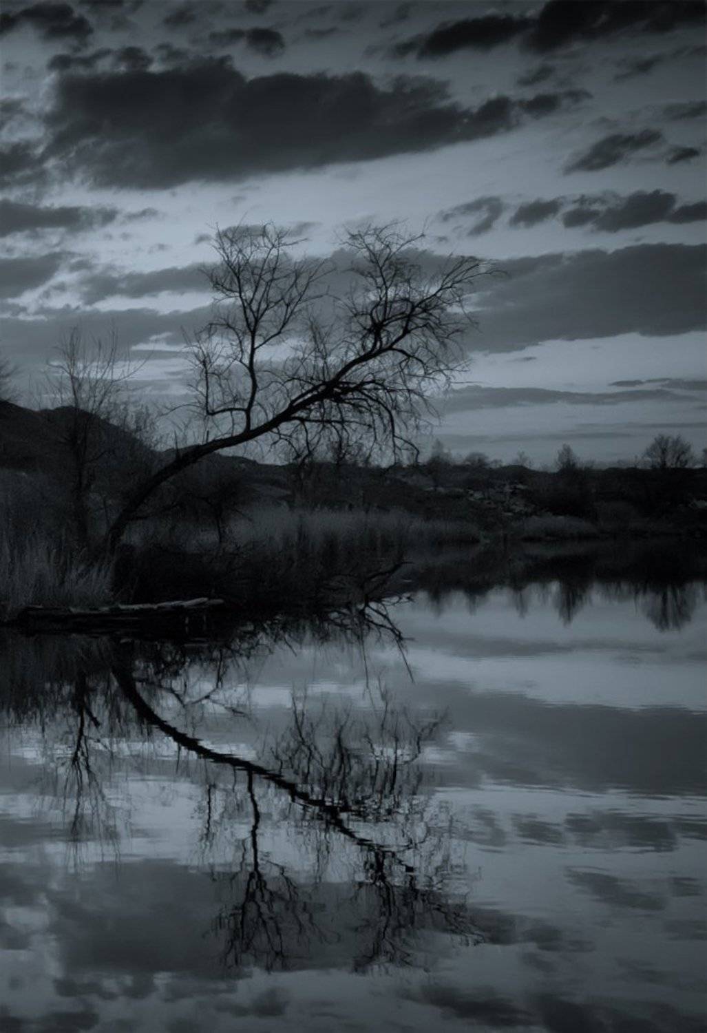 , Татьяна Аверина