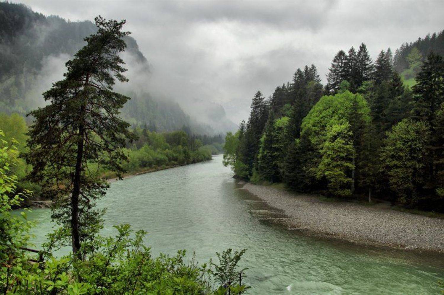 река, горы,лес, Игорь Дубровский