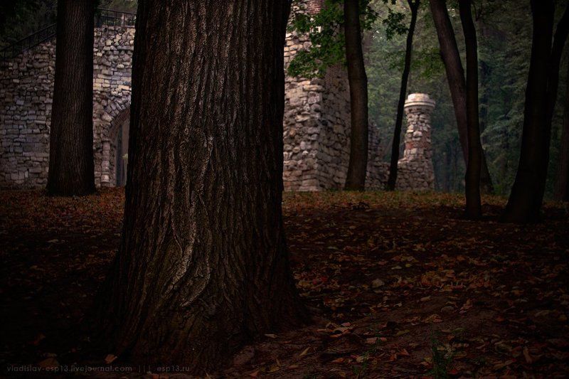 Сказка фото превью