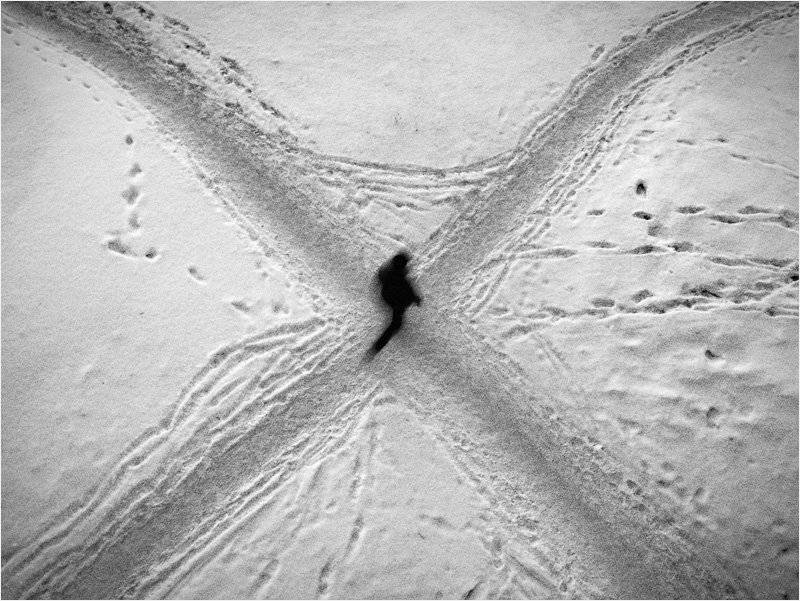 x, Илья Бармин