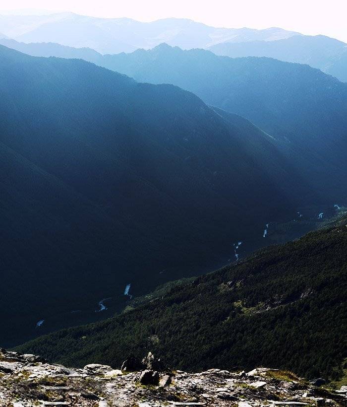 , Степан Каморный