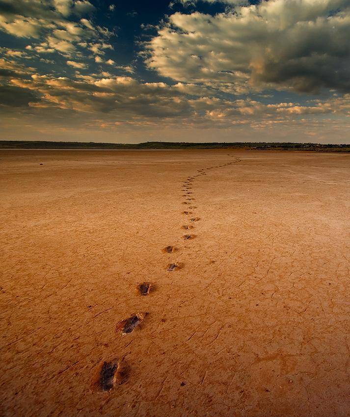 , Сергей Дымченко