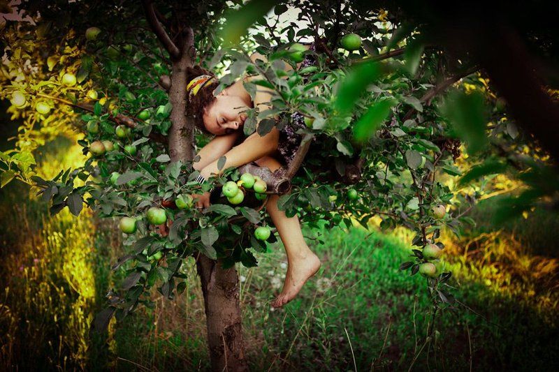 Apple fairy фото превью