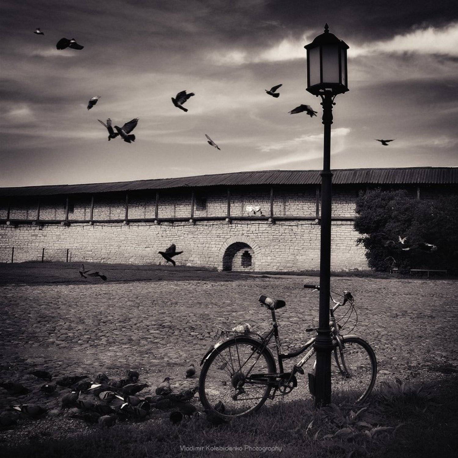 псков, крепость, велосипед, голуби, Kolebidenko Vladimir