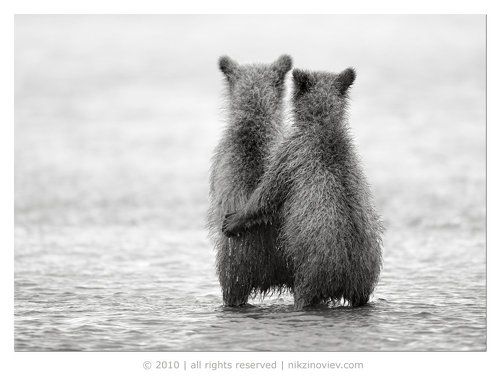 Вера, надежда, любовь ...