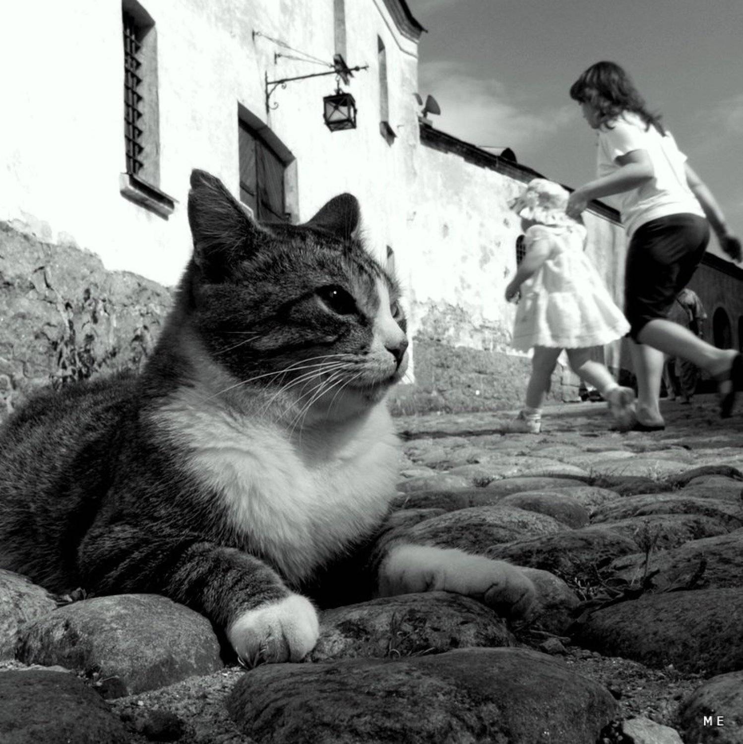 , михаил михаил