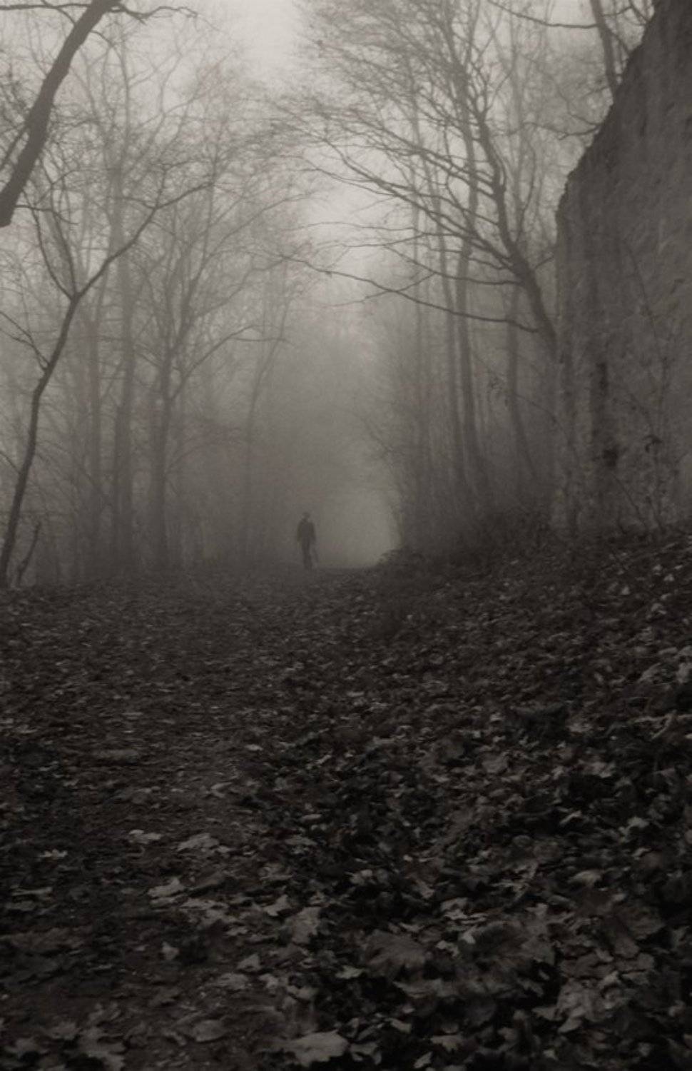 осень,туман, Завалко Лилия