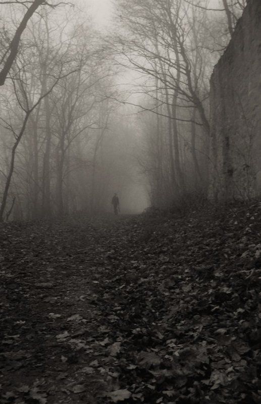 осень,туман Я уйду в туман... фото превью