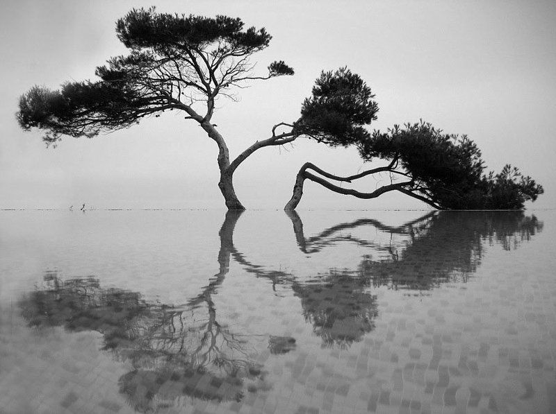 Отражение. фото превью