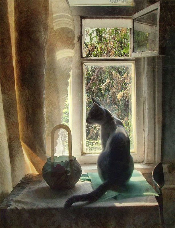 Лето у бабушки фото превью