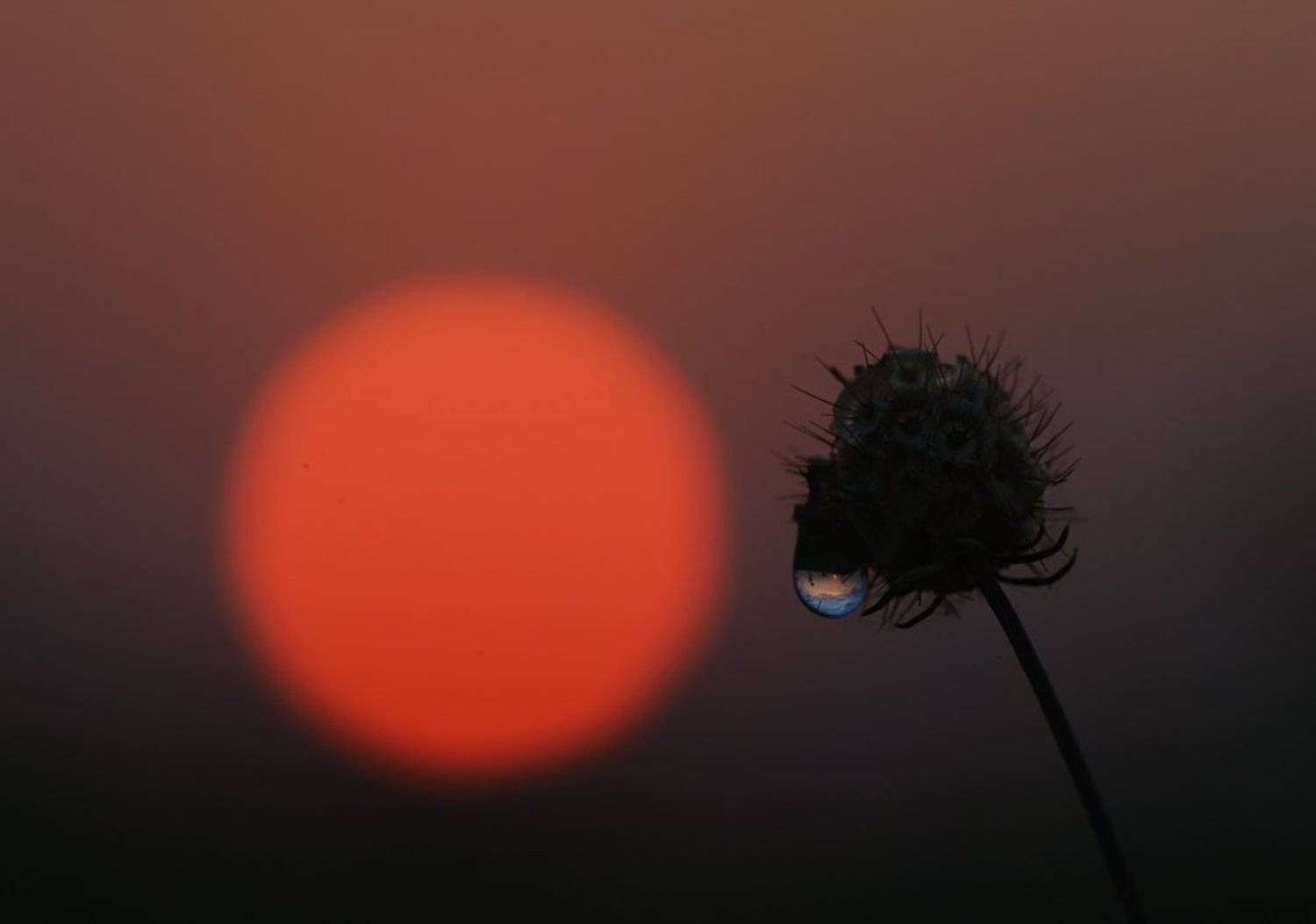 , Татьяна Аверина