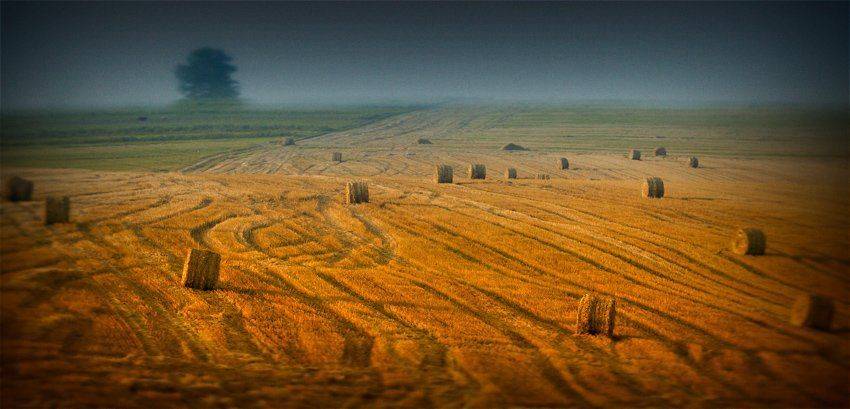 пейзаж, Sergey Koretsky