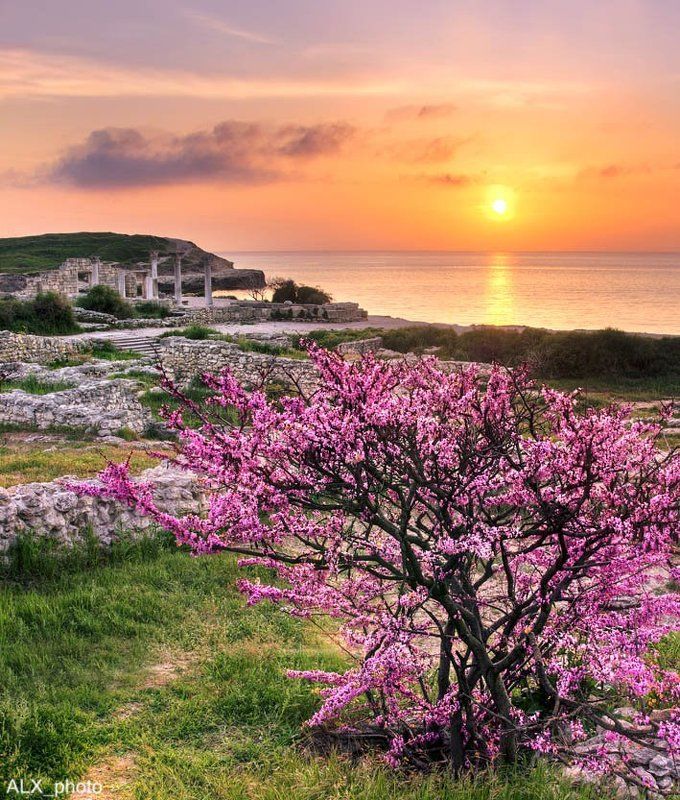 Тёплые дни... фото превью