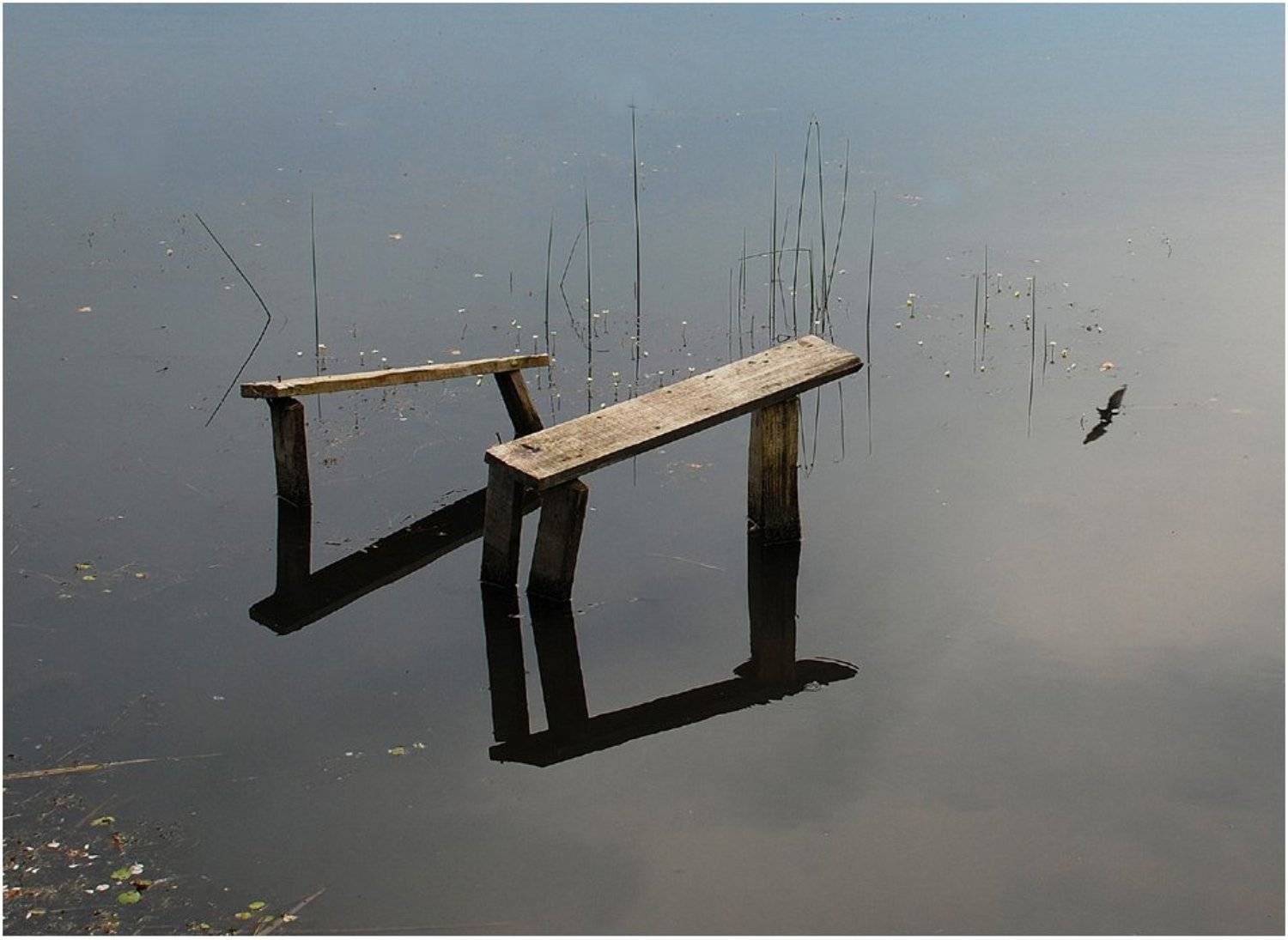 отражения, VictorSe