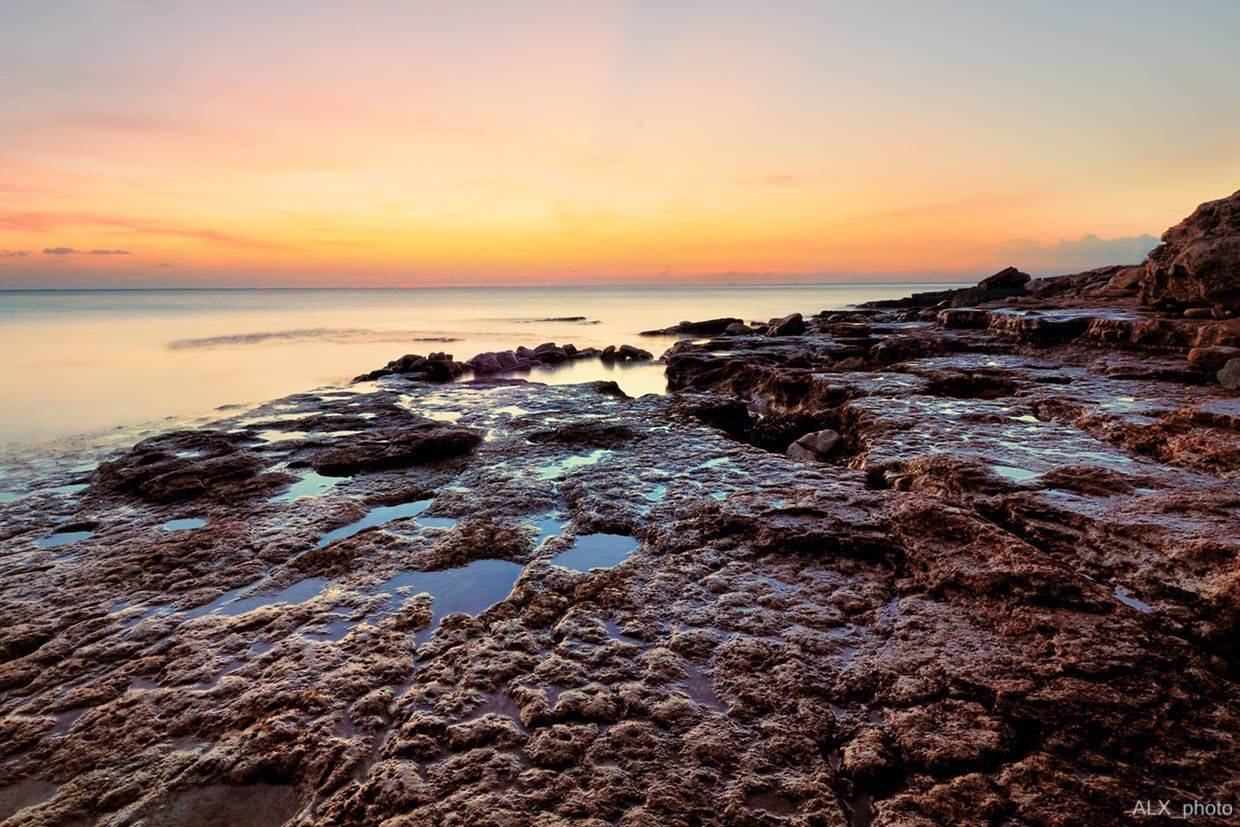 , Алексей Шевцов