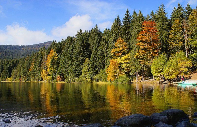 альпы,озеро,осень Запеленало отраженье в прозрачность берега красу... фото превью
