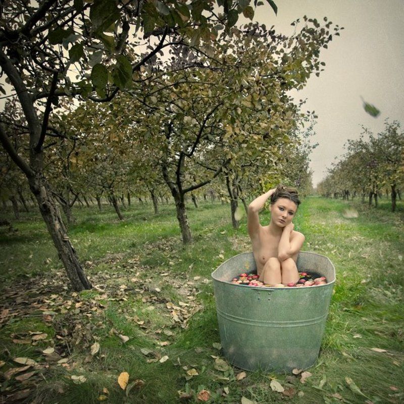 ... осень фото превью