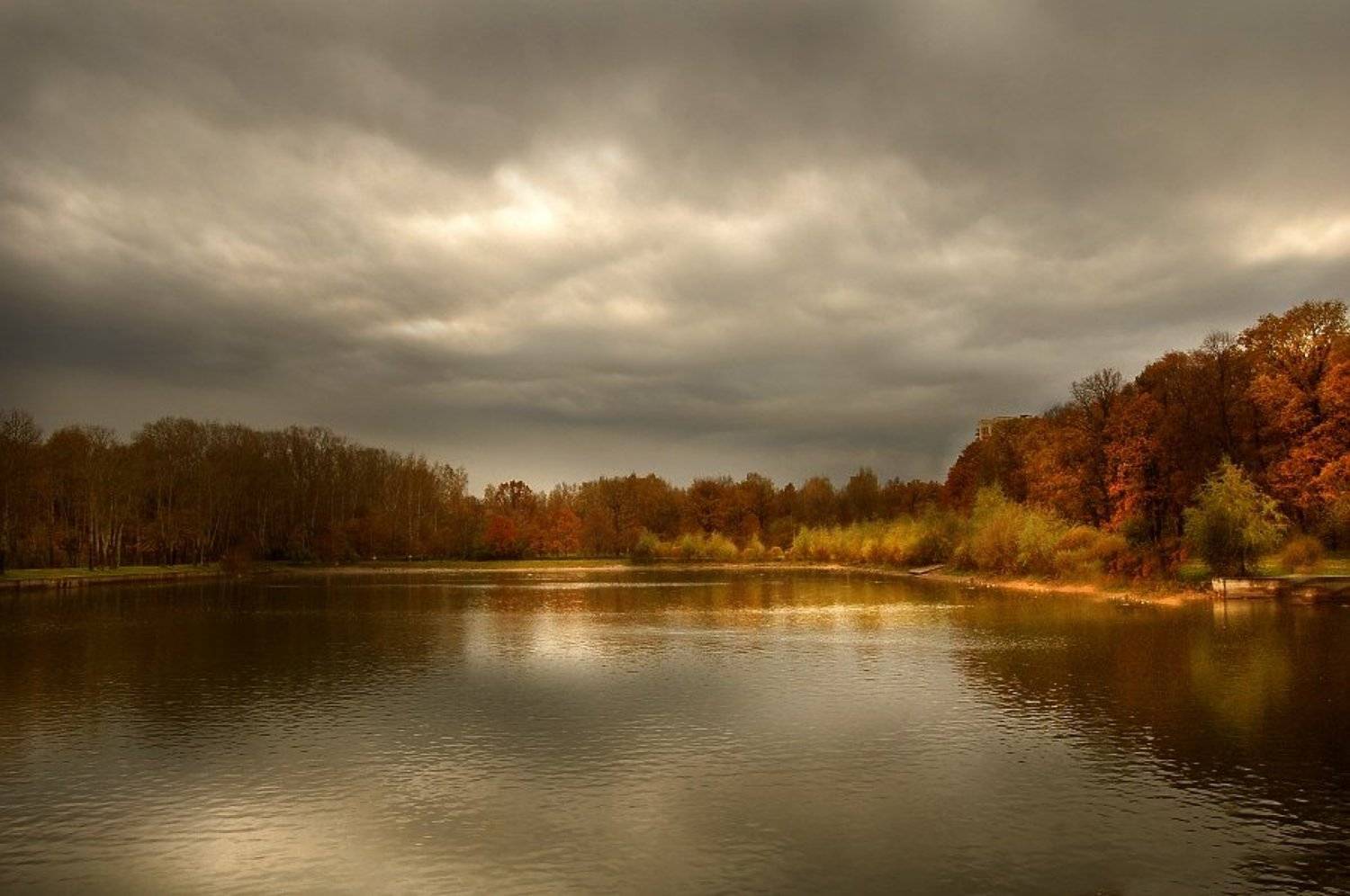 , &bull;**/ASSOL**&bull;