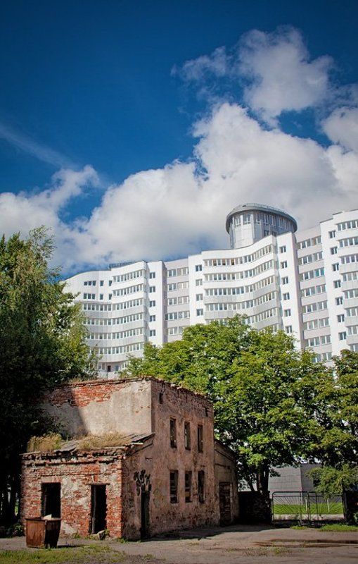 Мне жалко его стало фото превью