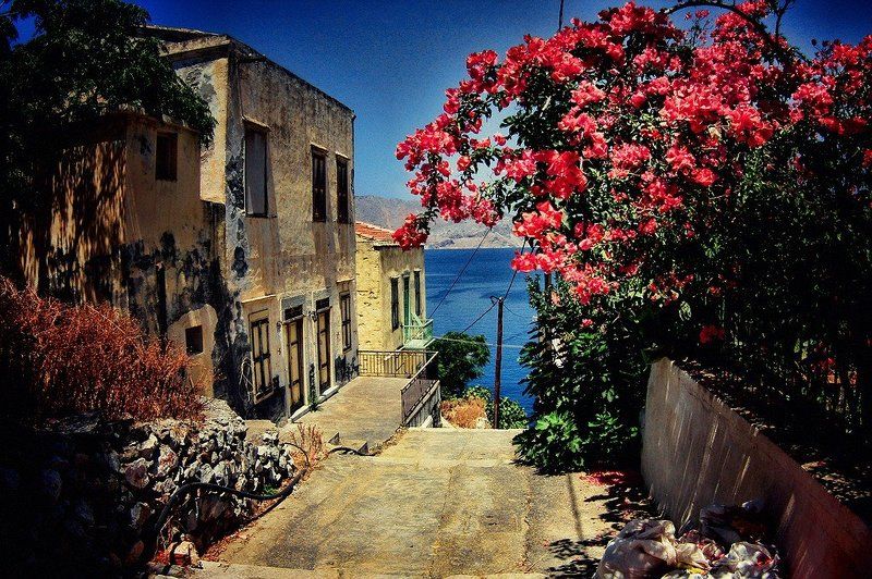 **** фото превью