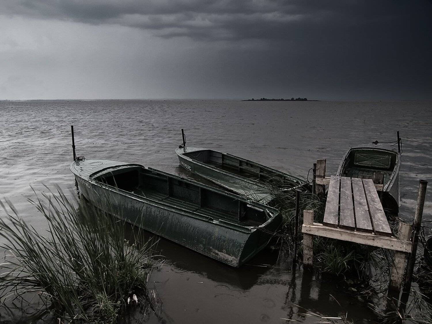 , Максим Евдокимов