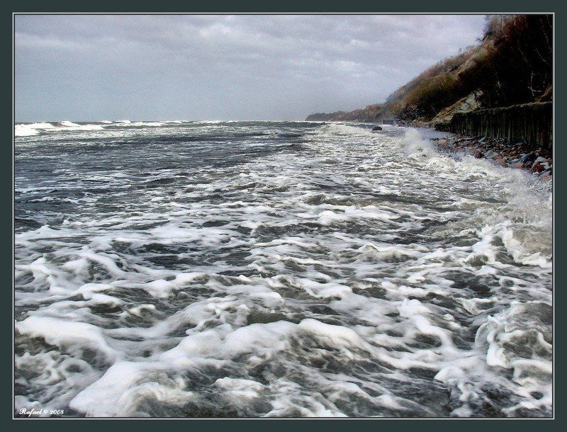 Барашки, бараны, на ЗП - баранища фото превью
