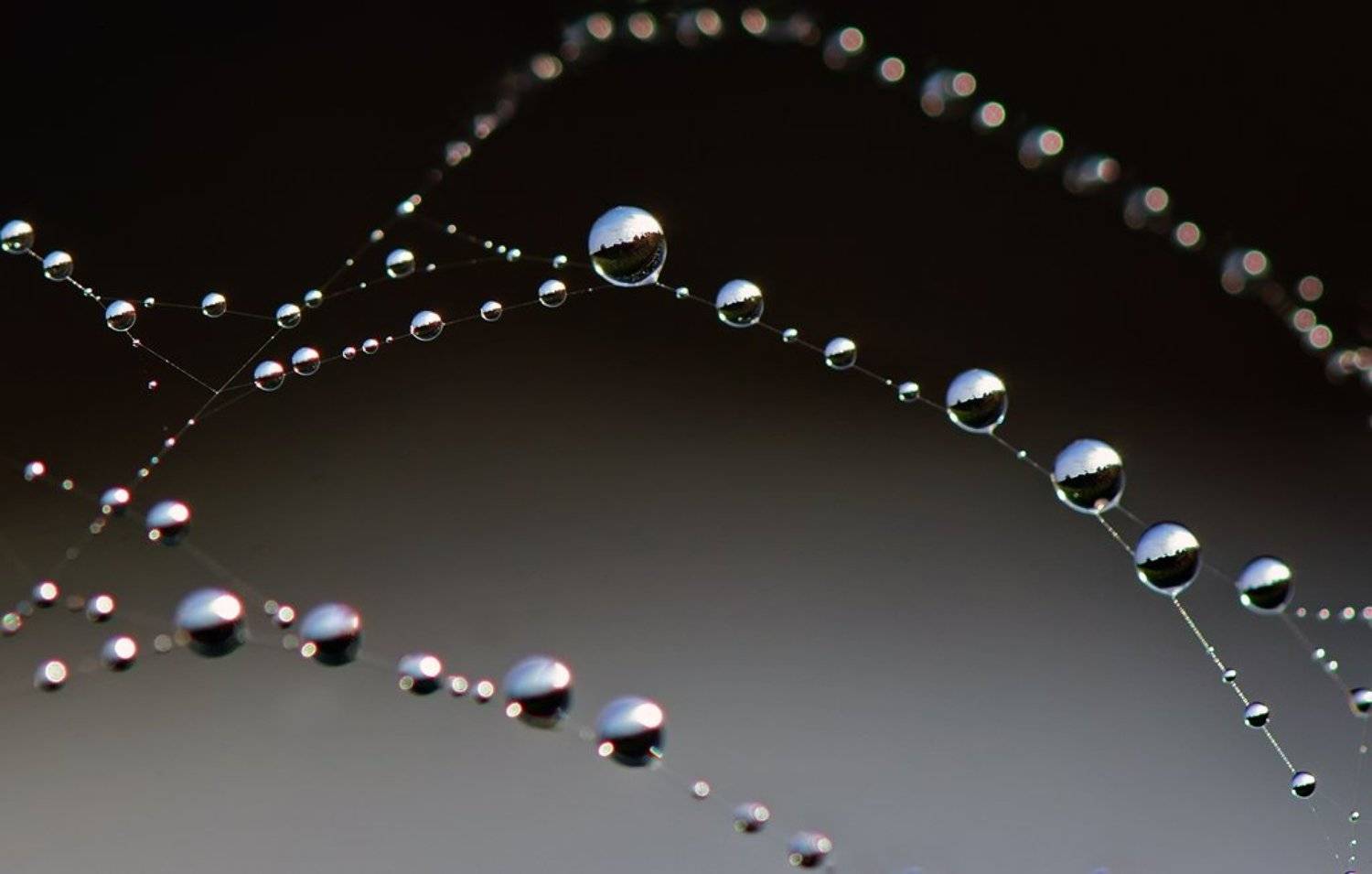 капля, Татьяна Аверина