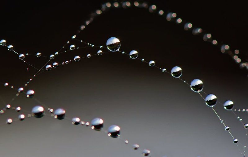 капля Капелный пейзажик... фото превью