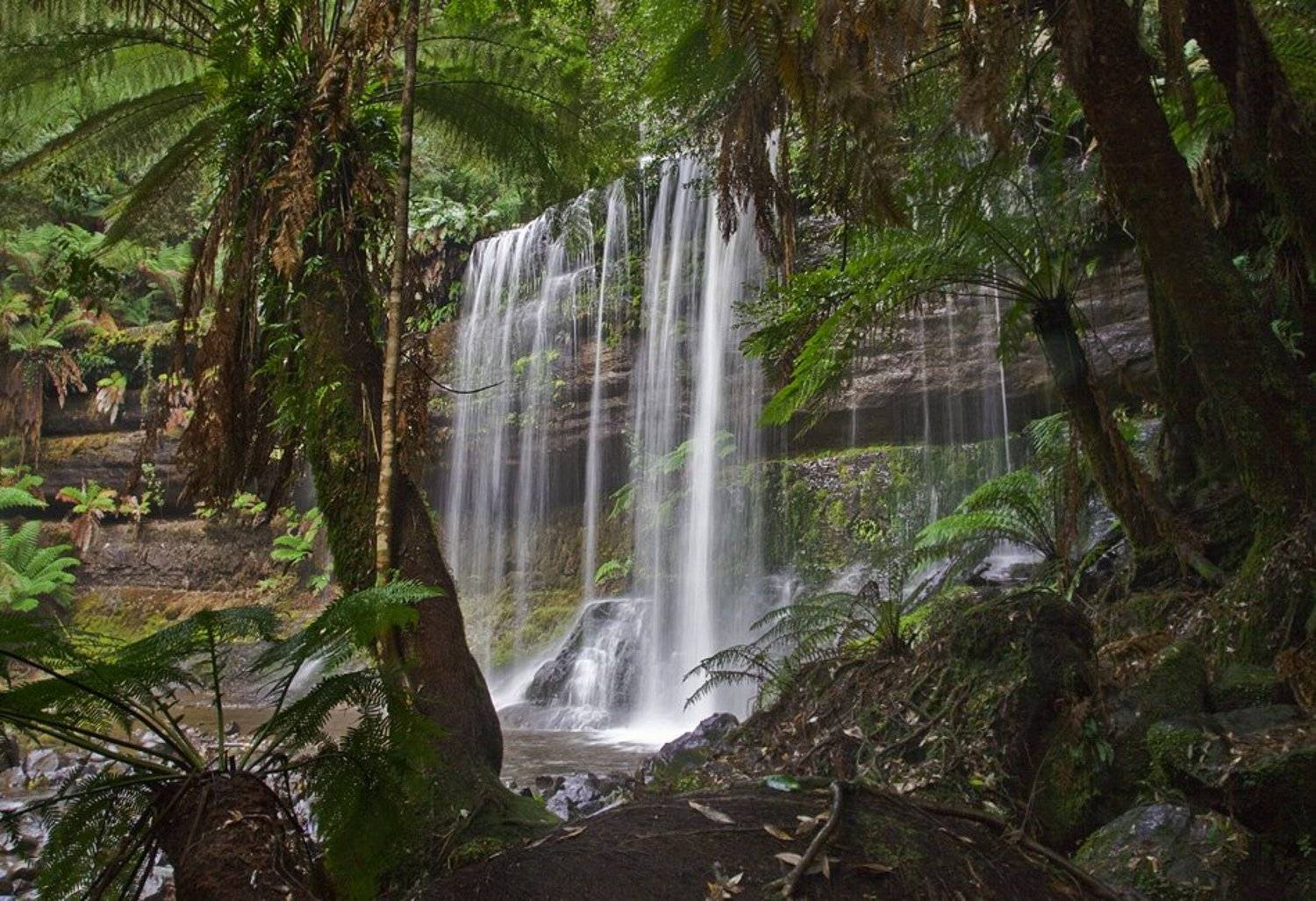 водопад, Inesa Hill