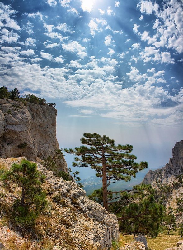 На вершине Ай-Петри фото превью