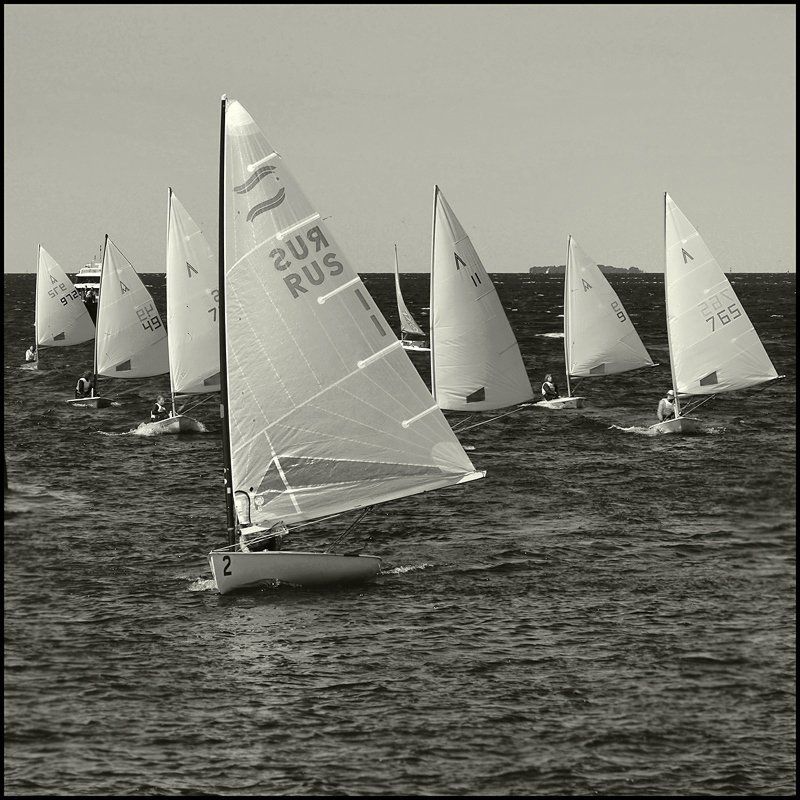 ргата, яхты Регата фото превью