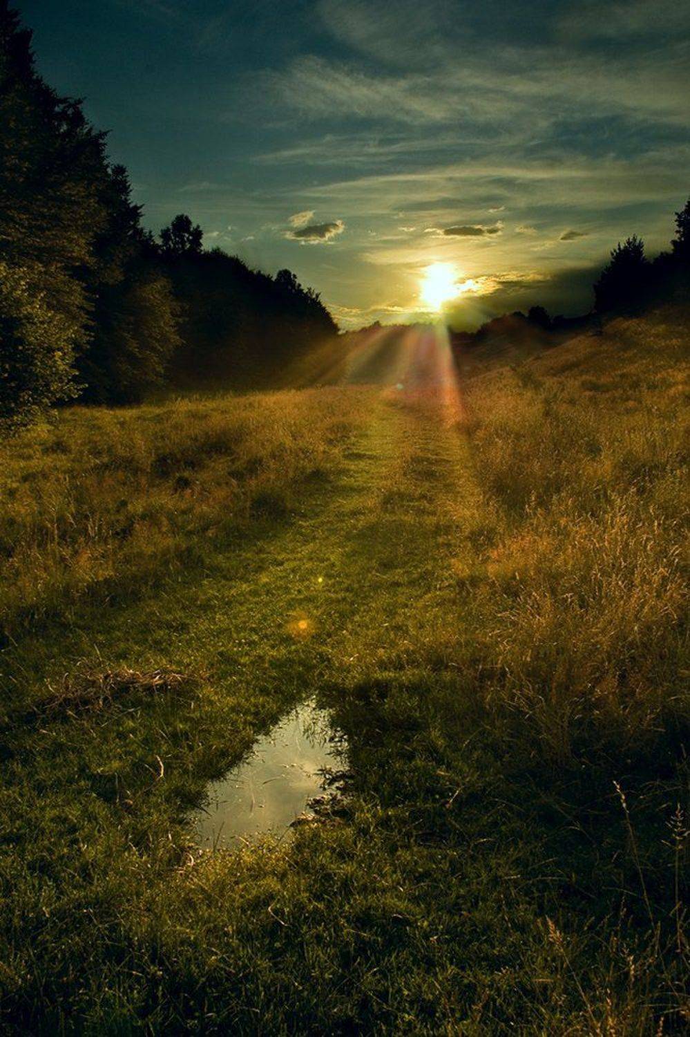 , Константин Молчанов