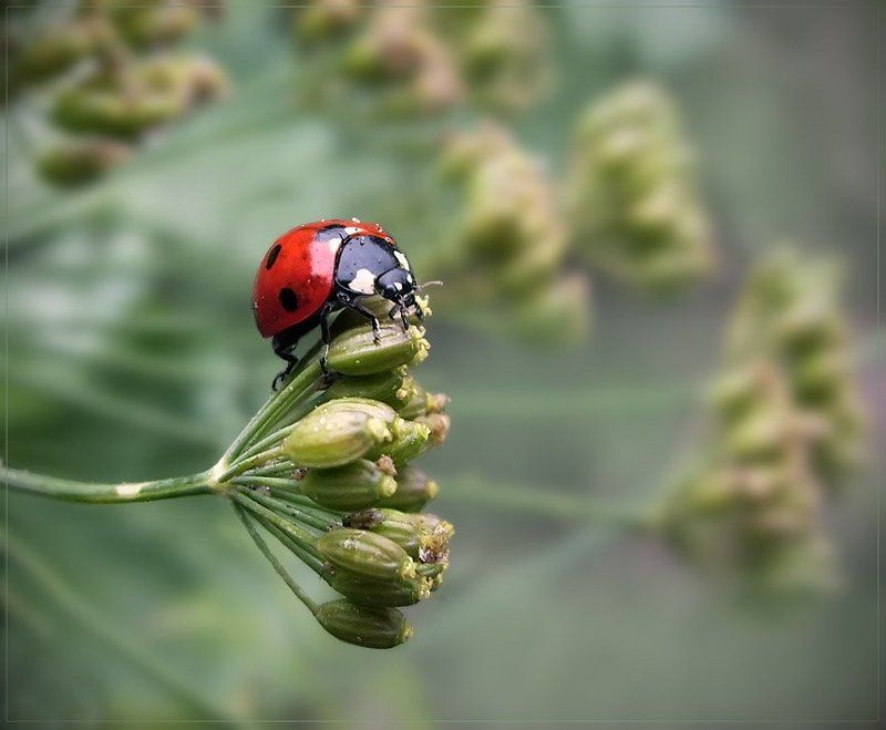 По волнам фото превью