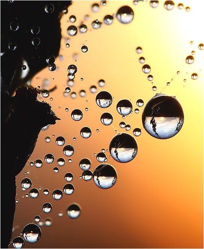 Макро закат.