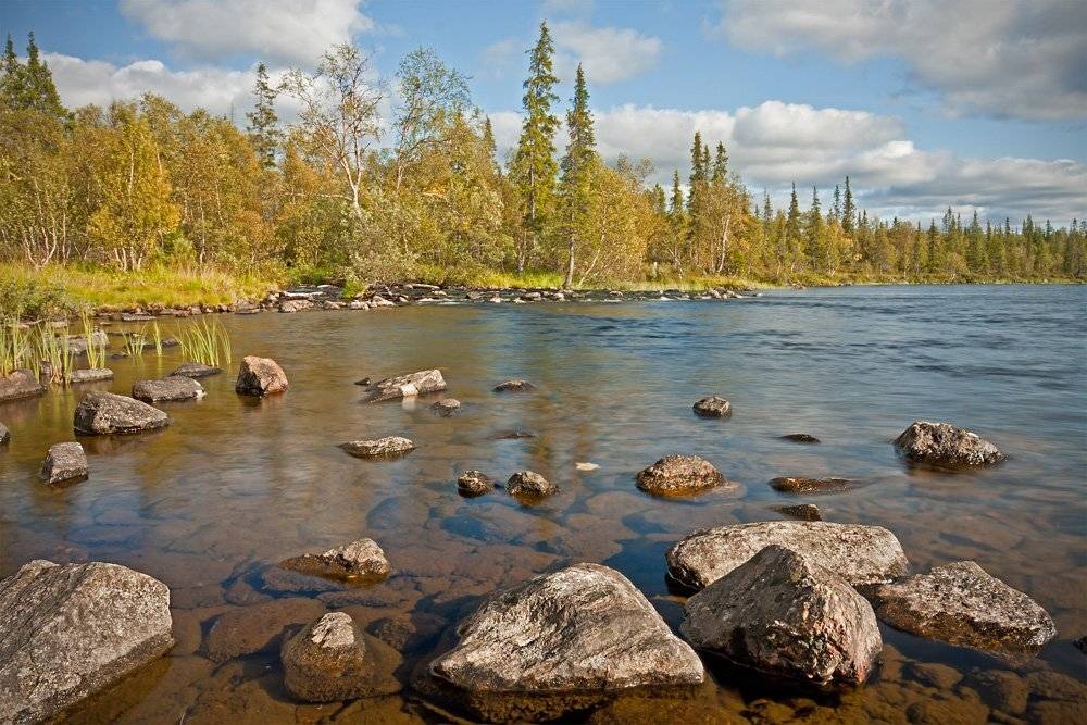кольский, полуостров, locus