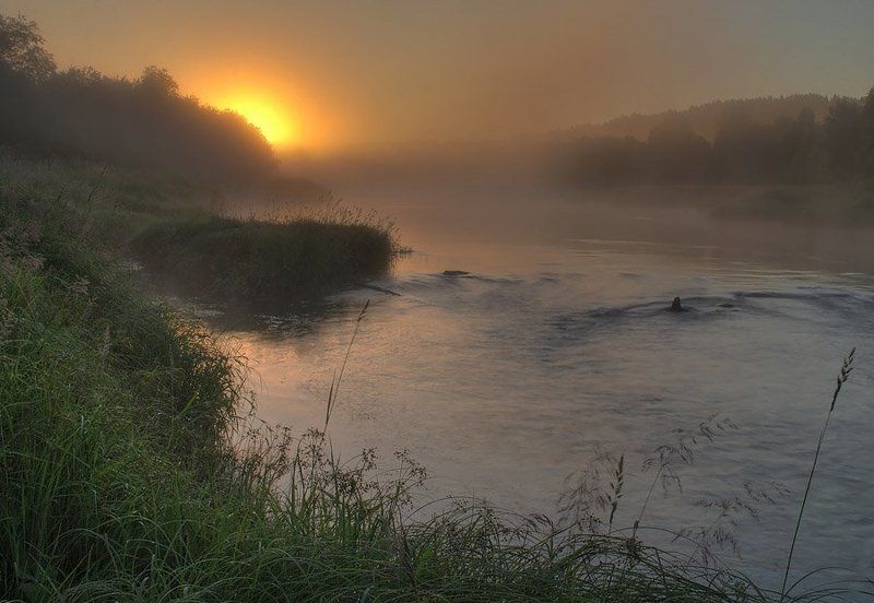 пейзаж, игорь, вишняков, природа, рассвет, никон Туманное утро. фото превью