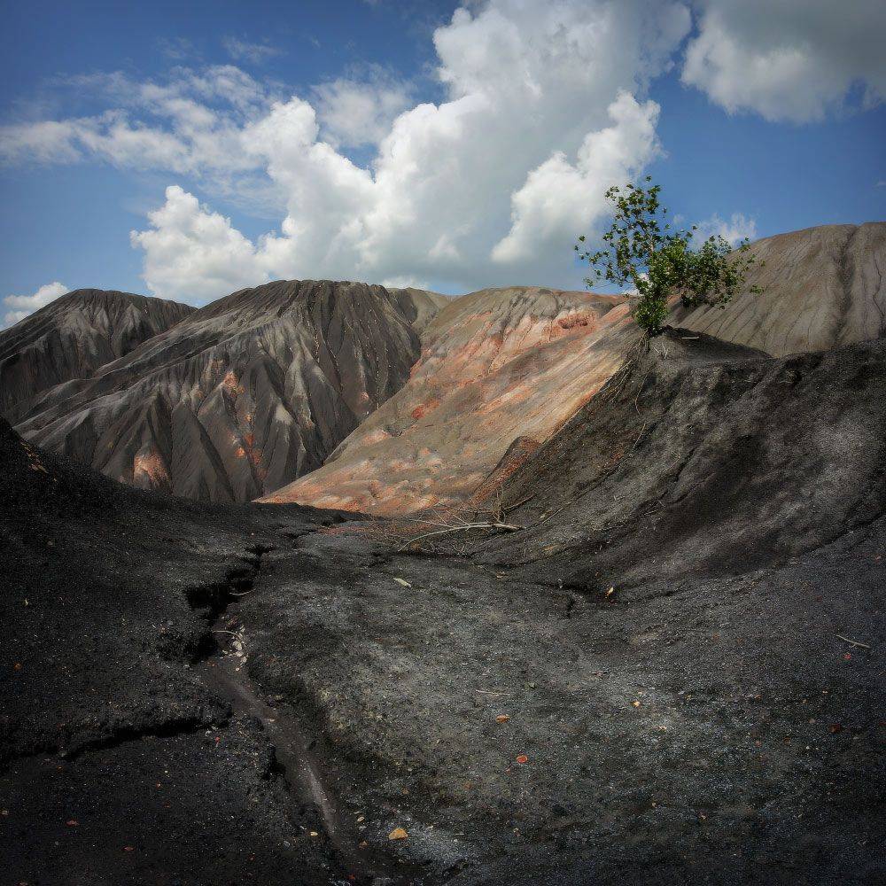 лето, террикон, дерево, шахта, Петриченко Валерий
