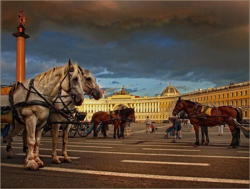 петербург * фото превью