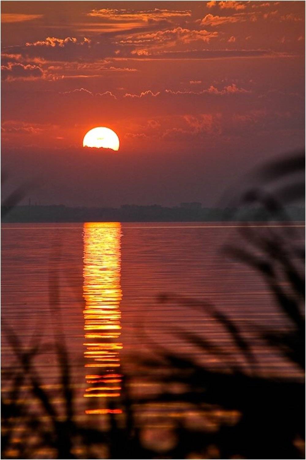 лиман,белгород-днестровский,закат,дорожка,, Andrey D