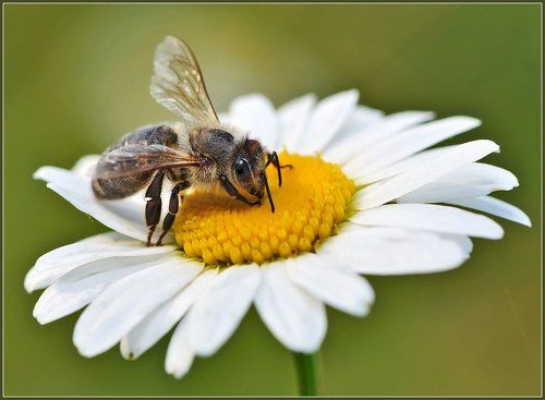 Трудовые будни.