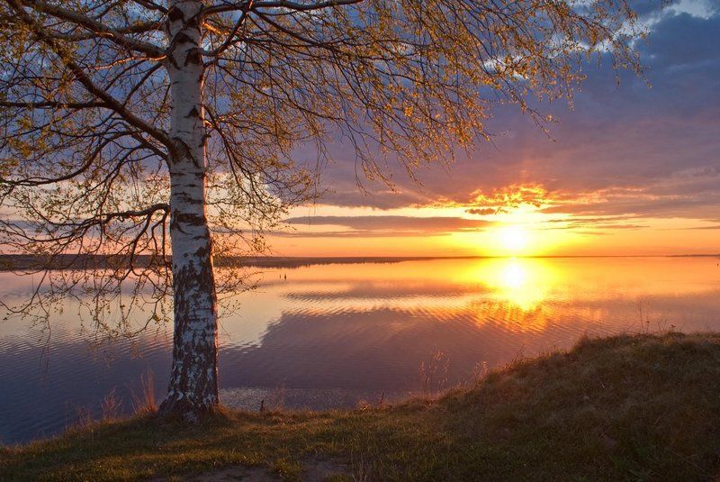 весна, природа, волга Волга. Глебово. фото превью