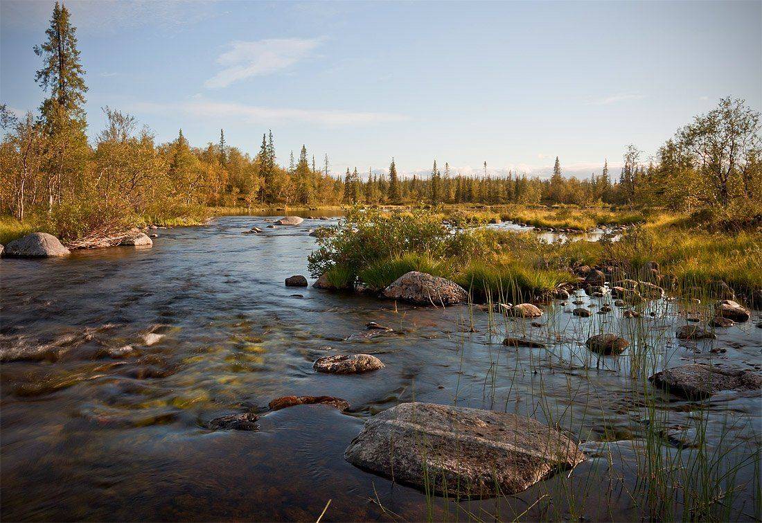 кольский, полуостров, locus