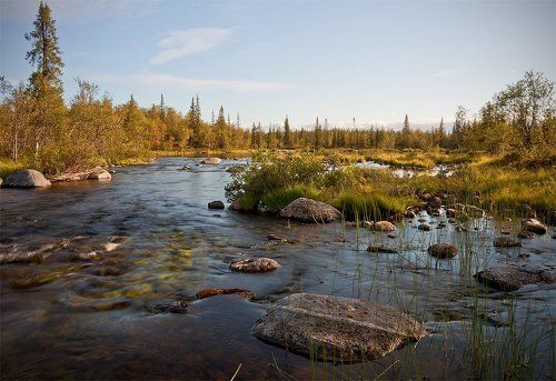 Последнии солнечные дни лета
