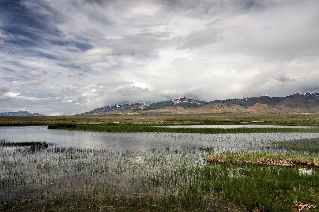 алтай, Васенин Валерий