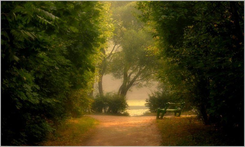 * фото превью