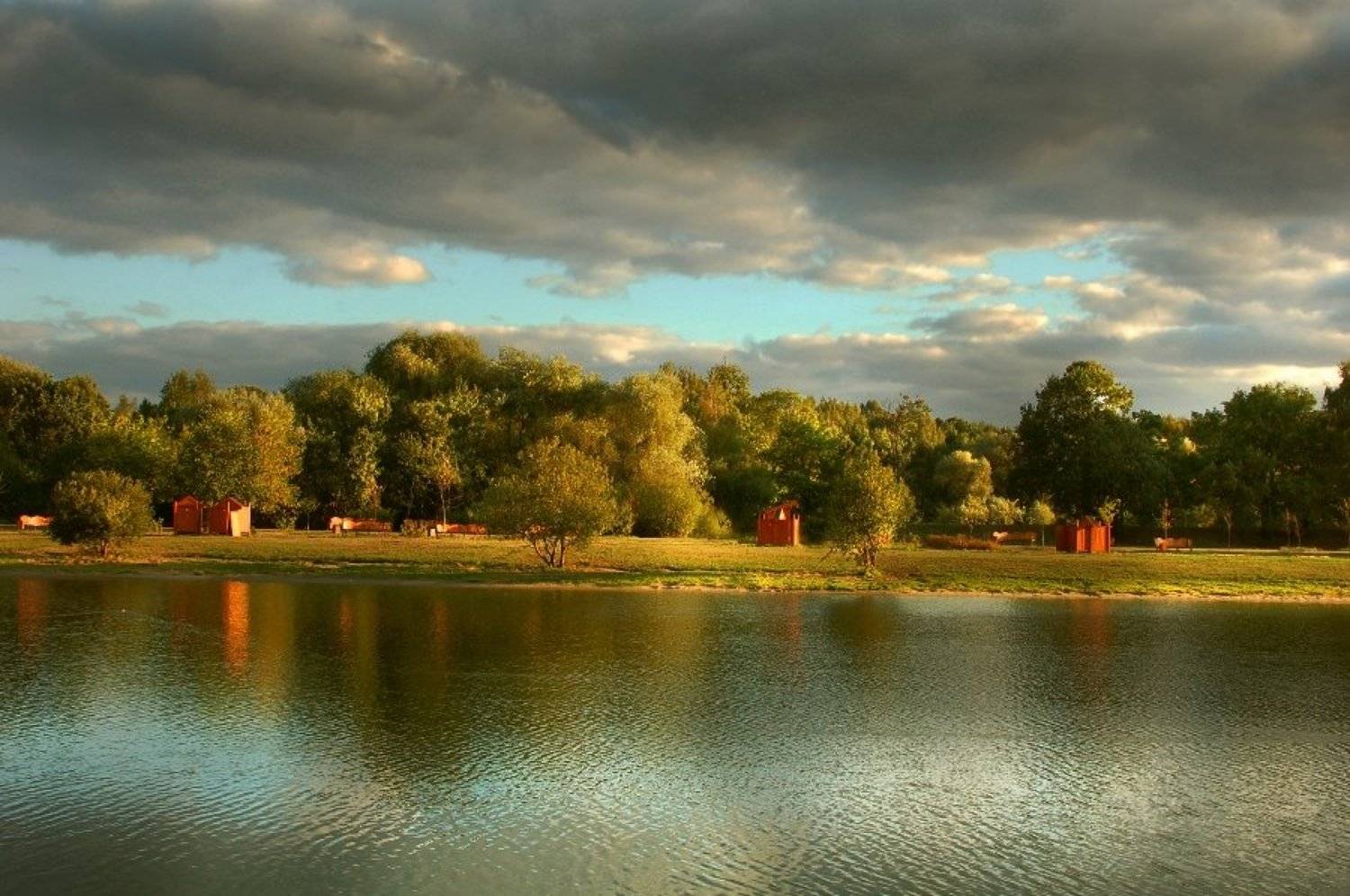 , &bull;**/ASSOL**&bull;