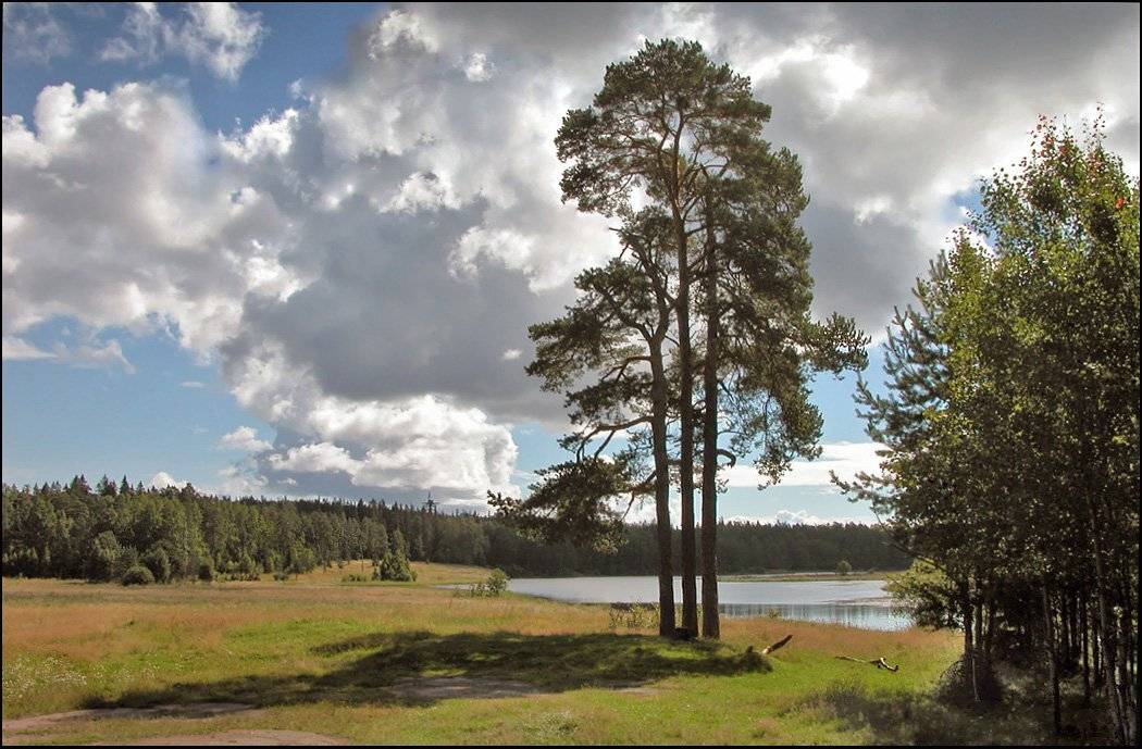 валаам, Тарасов Алексей
