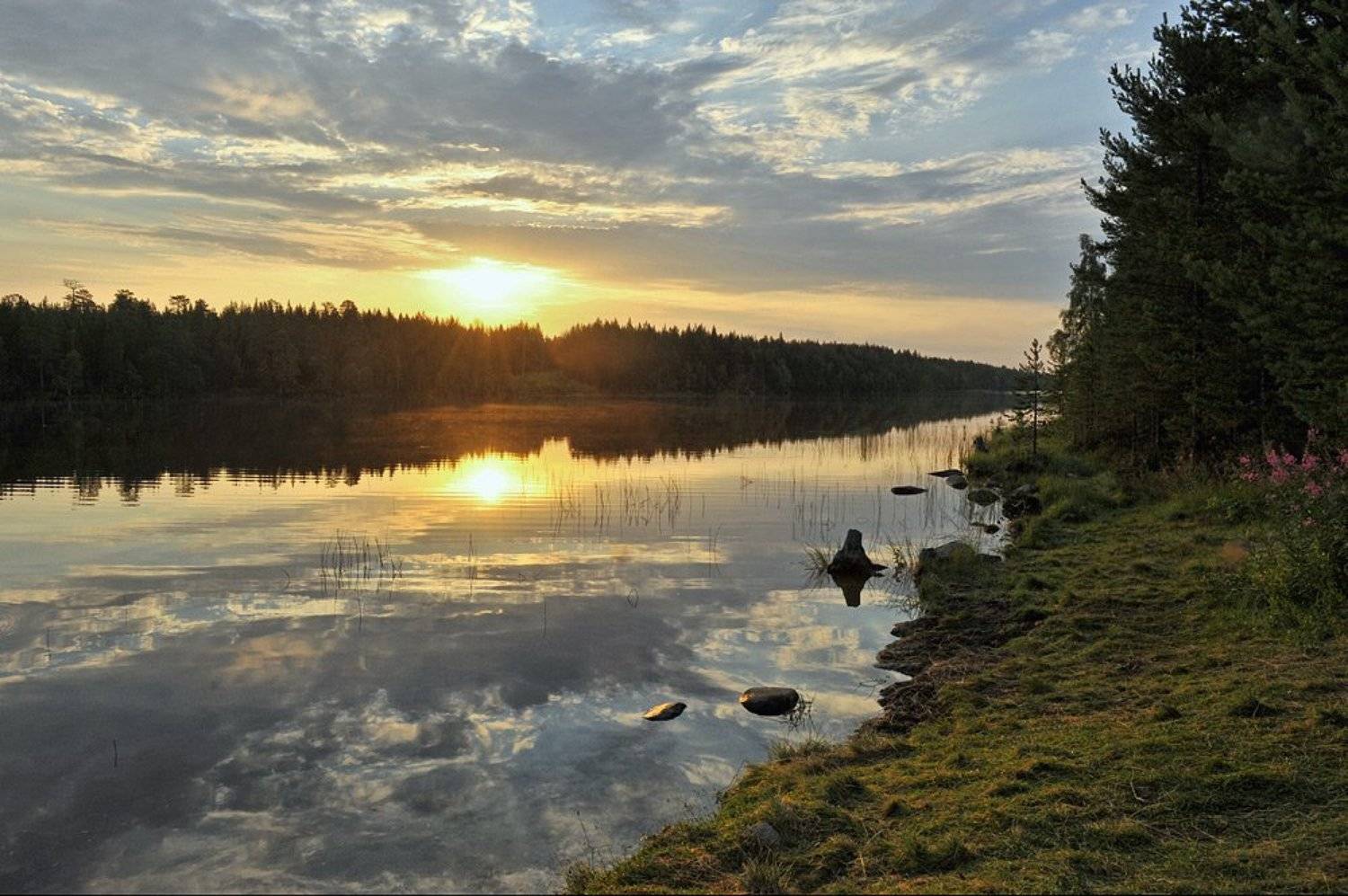 , Борис Пирог