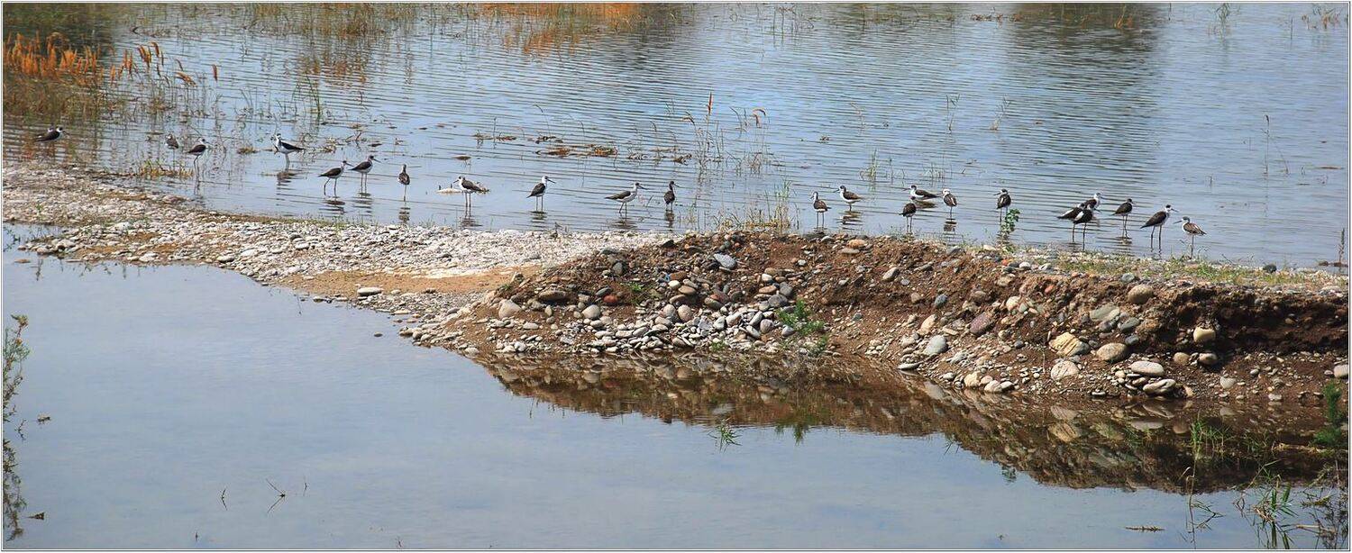 , Геннадий Меремьянин