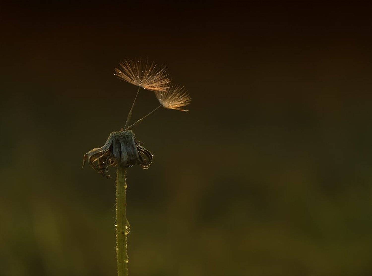 , Татьяна Аверина